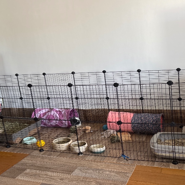 Photo du logement