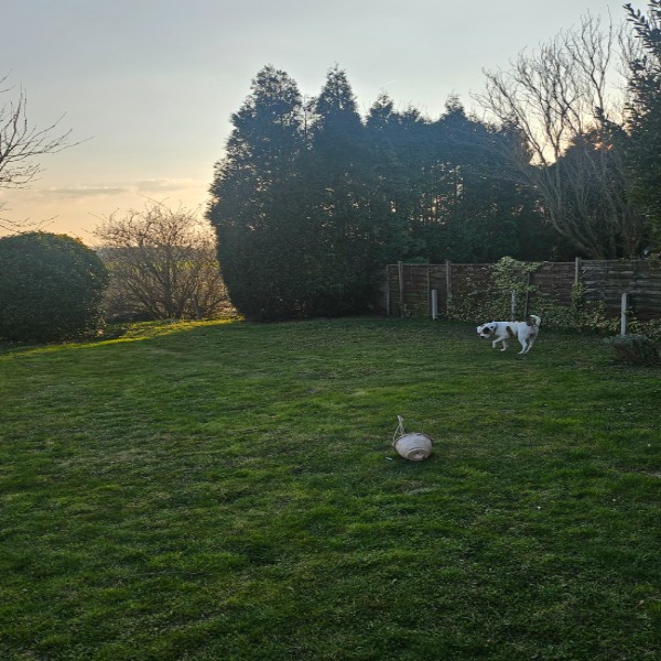 Photo du logement