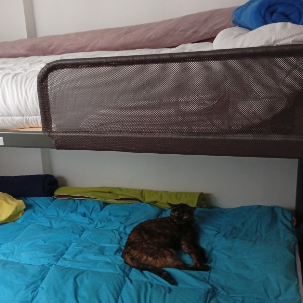 Photo du logement