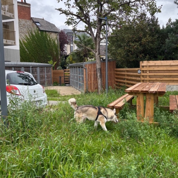 Photo du logement