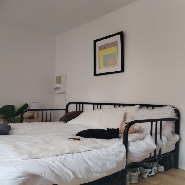 Photo du logement