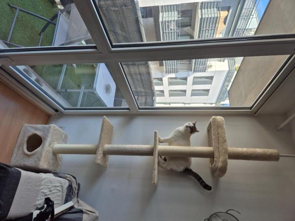 Photo du logement
