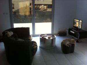 Photo du logement