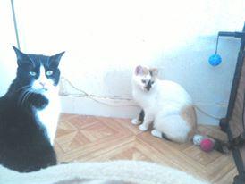 Photo du logement