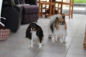 Photo du logement