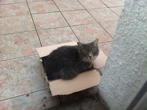 Photo du logement
