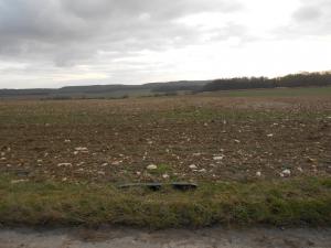 Photo du logement