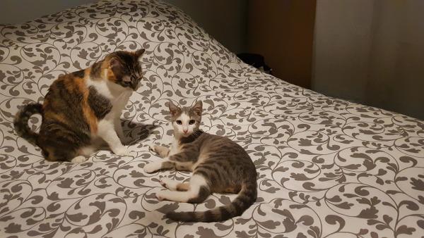 Photo du logement