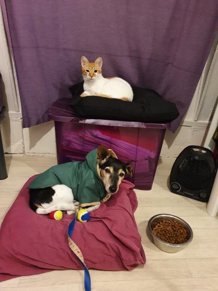 Photo du logement