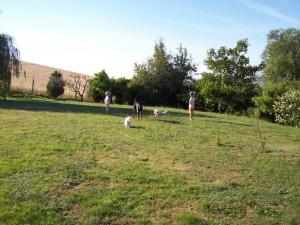 Photo du logement