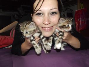 Photo du logement