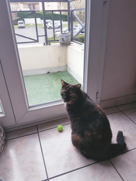 Photo du logement