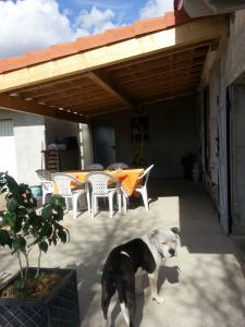 Photo du logement