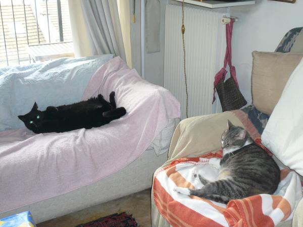 Photo du logement