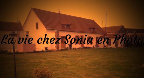 Photo du logement