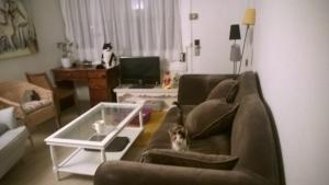 Photo du logement