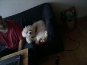 Photo du logement