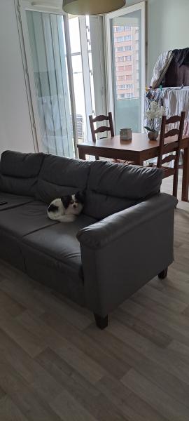 Photo du logement