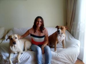 Photo du logement