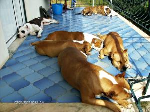 Photo du logement
