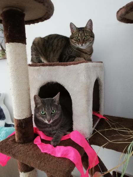 Photo du logement