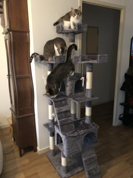 Photo du logement