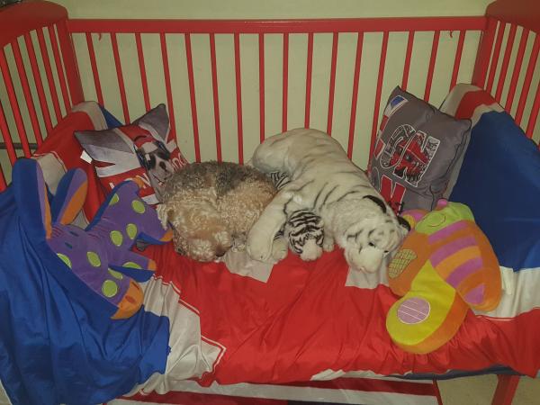 Photo du logement