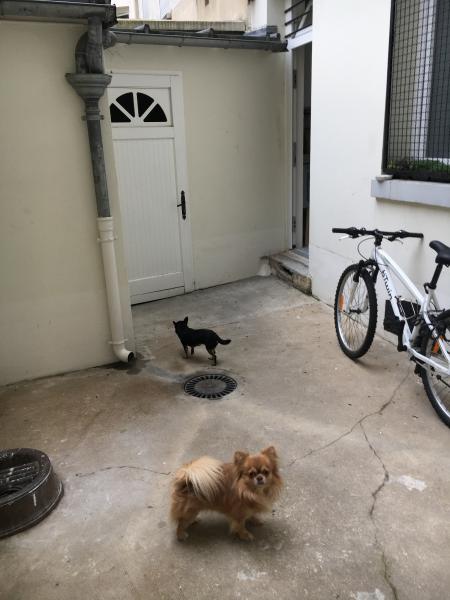 Photo du logement