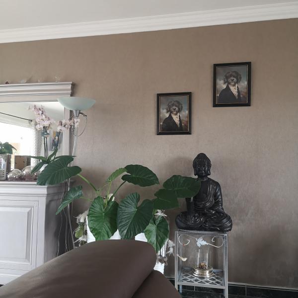 Photo du logement