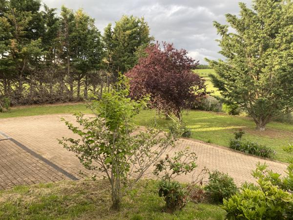 Photo du logement