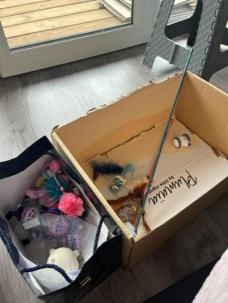 Photo du logement