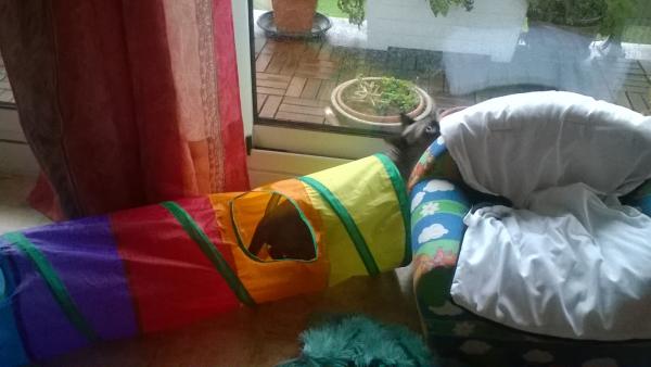 Photo du logement