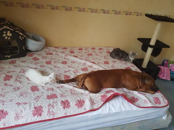 Photo du logement