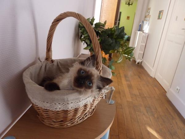 Photo du logement
