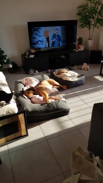 Photo du logement