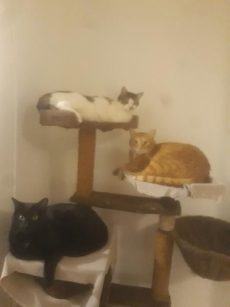 Photo du logement