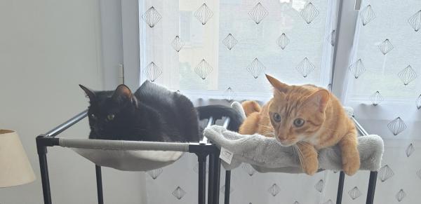 Photo du logement