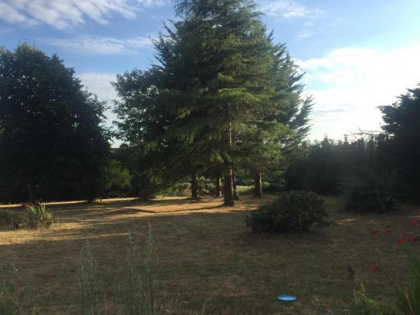 Photo du logement