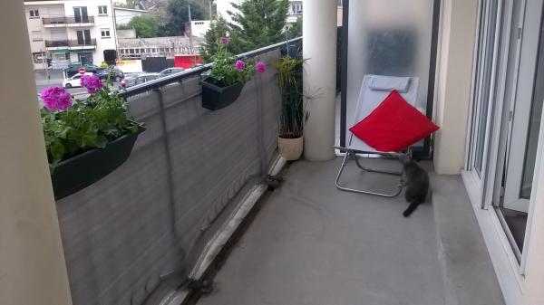 Photo du logement