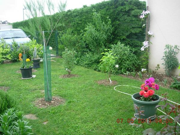 Photo du logement