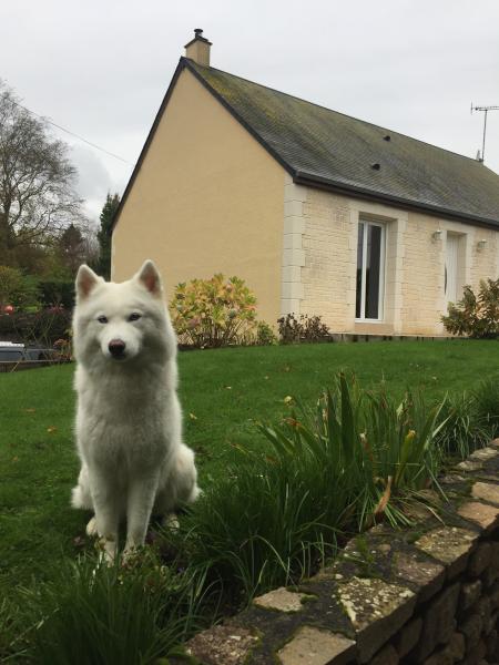 Photo du logement