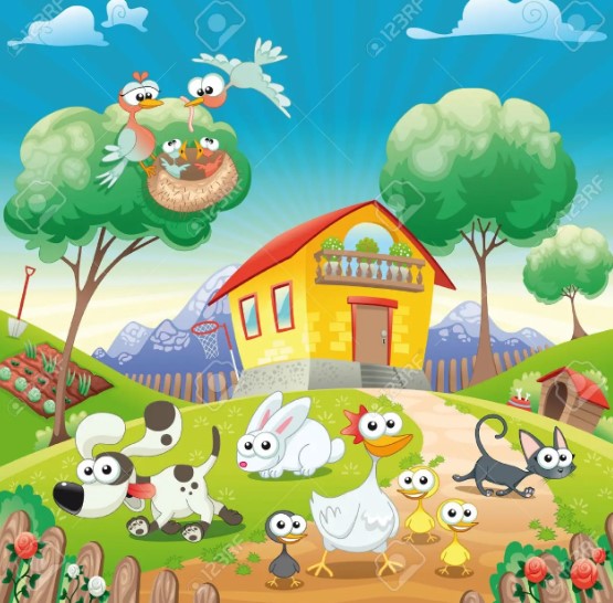 Photo du logement