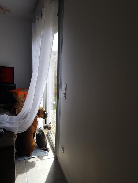 Photo du logement