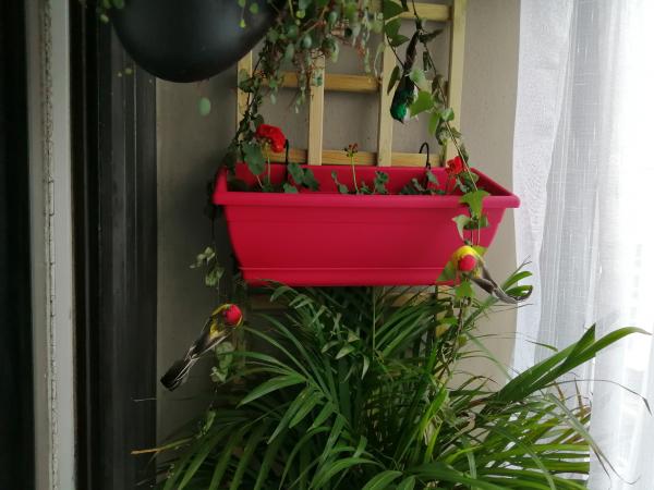 Photo du logement
