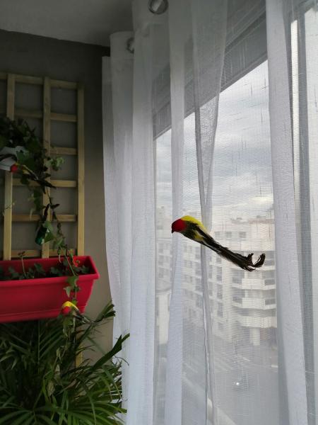 Photo du logement