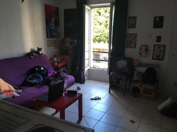 Photo du logement