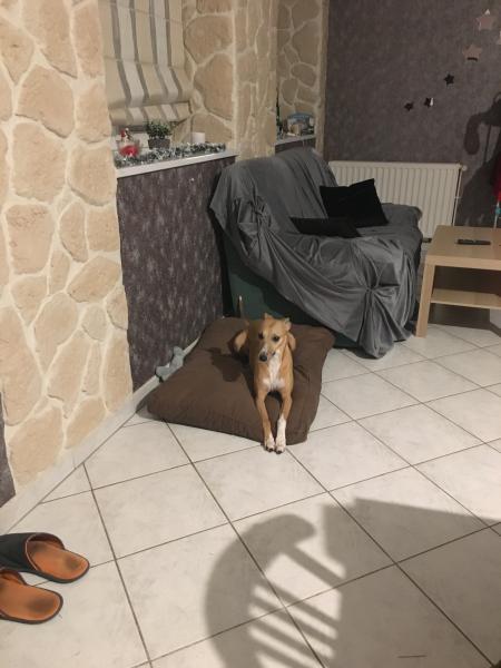 Photo du logement
