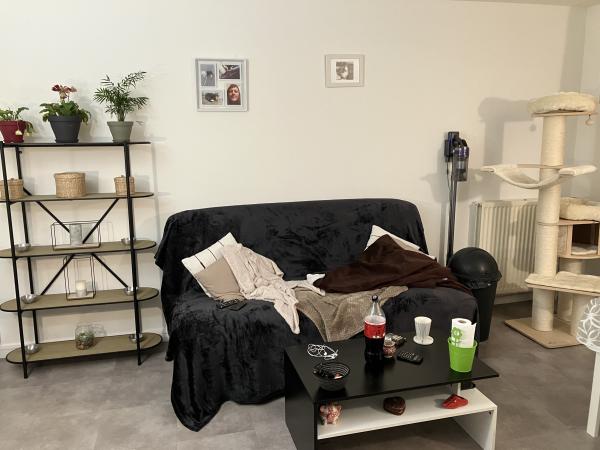 Photo du logement