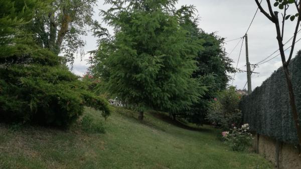 Photo du logement
