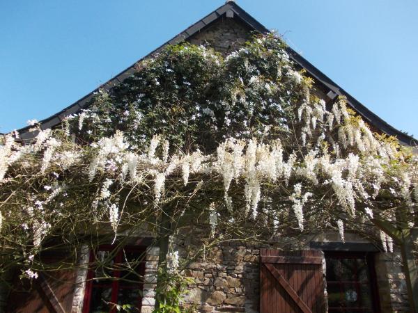 Photo du logement